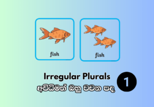 Irregular plurals 01 - අවිධිමත් බහු වචන පද 01