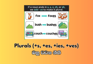 Plurals (+s, +es, +ies, +ves) - බහු වචන නීති