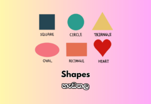 Shapes - හැඩතල
