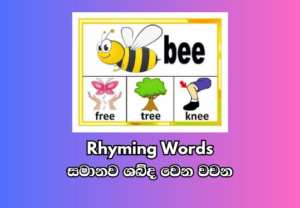 Rhyming Words - සමානව ශබ්ද වෙන වචන