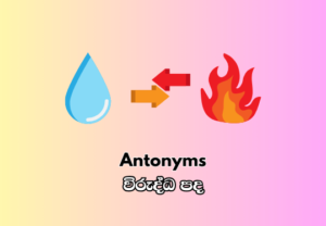 Antonyms - විරුද්ධ පද